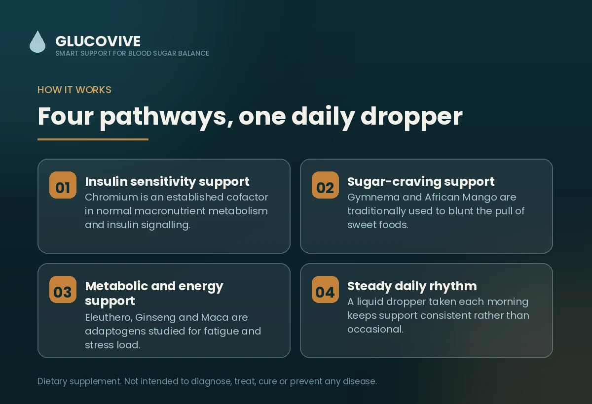 How Glucovive works — simple steps for better blood sugar balance
